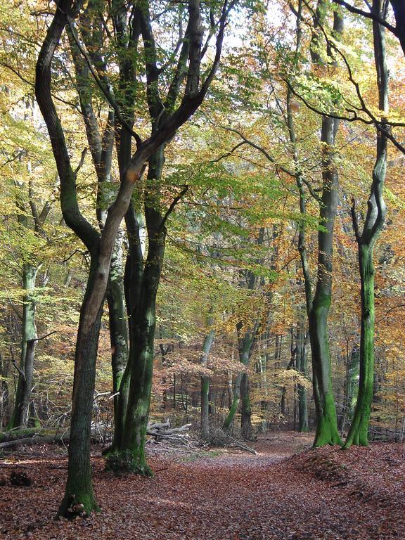 Hof Van Putten Kültér fotó